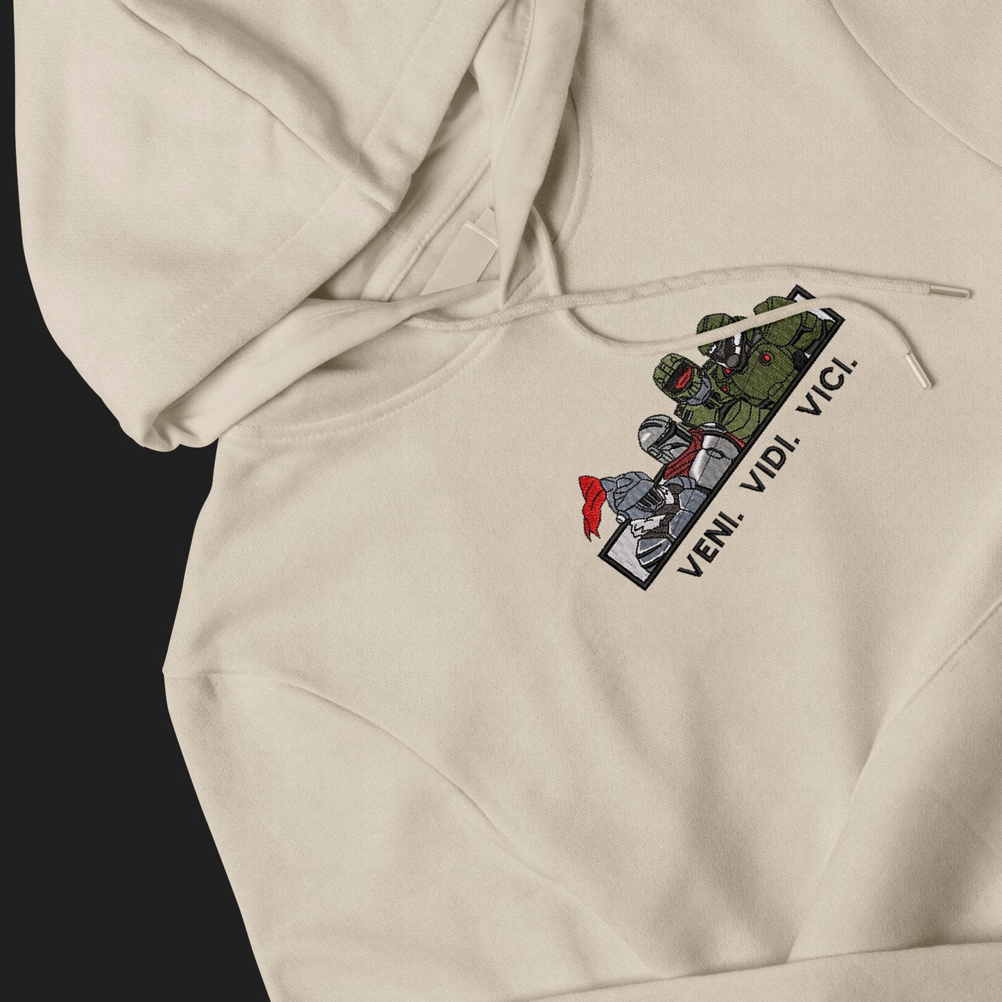 LIMITED VENI. VIDI. VICI EMBROIDERED HOODIE